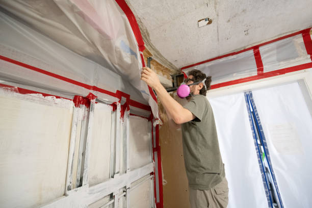 Best Dehumidification Services  in Manorhaven, NY