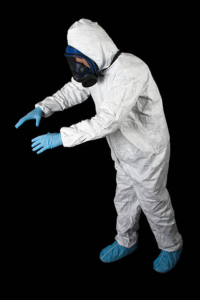 Best Black Mold Removal  in Manorhaven, NY