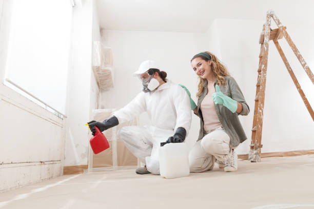 Environmental Consulting for Mold Prevention in Manorhaven, NY